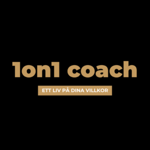 1on1-coach-villkor